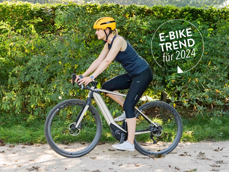 Das ist der Bosch-Antrieb Performance Line SX