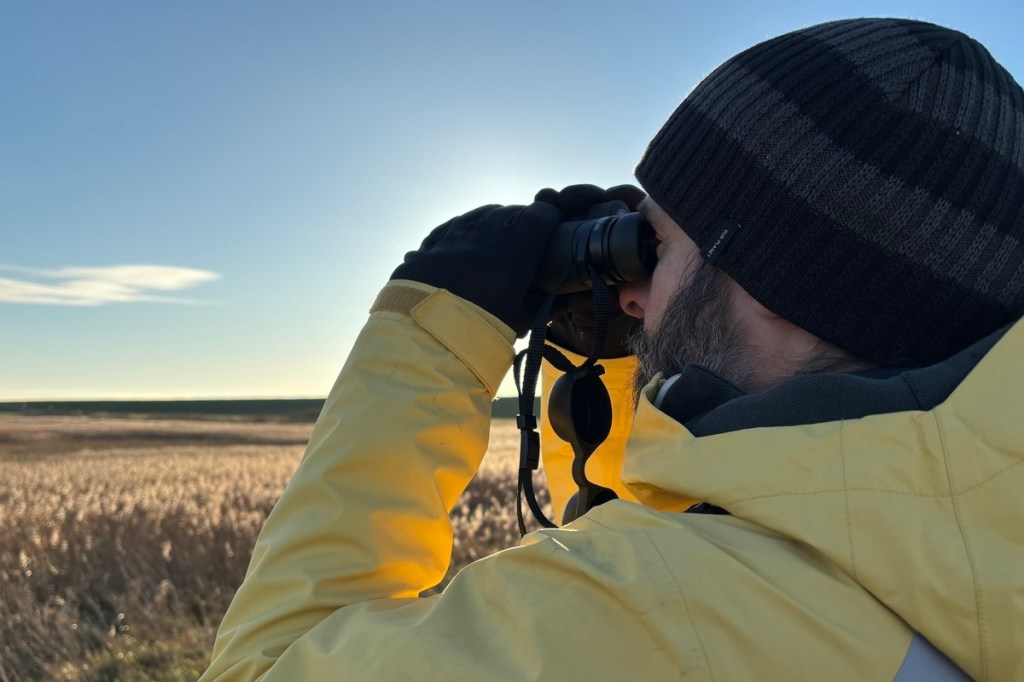 Mann mit gelber Outdoor-Jacke und Mütze schaut mit einem Fernglas ins Schilf.
