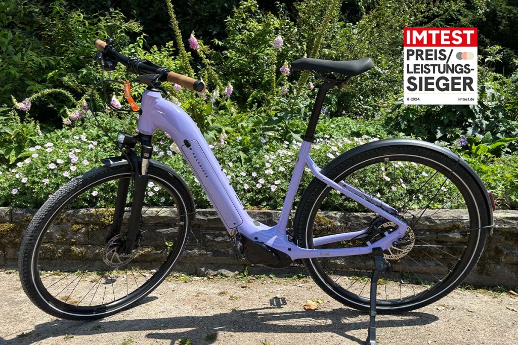 fliederfarbenes E-Bike in einem Park stehend, dazu Preis-Leistungssieger-Siegel